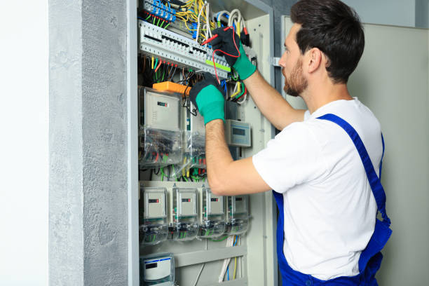 Best Electrical System Inspection  in Womelsdorf, PA