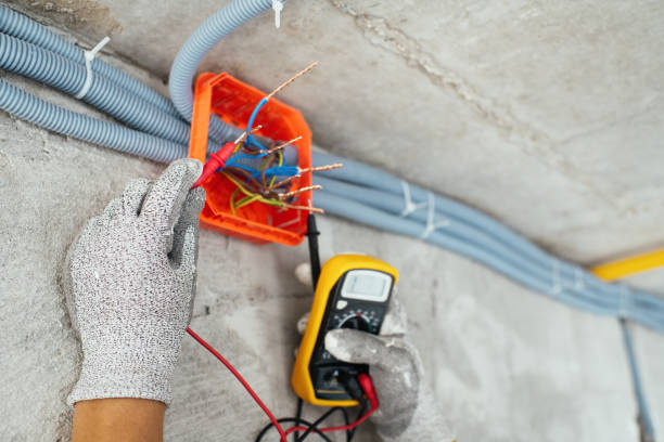 Best Electric Panel Repair  in Womelsdorf, PA